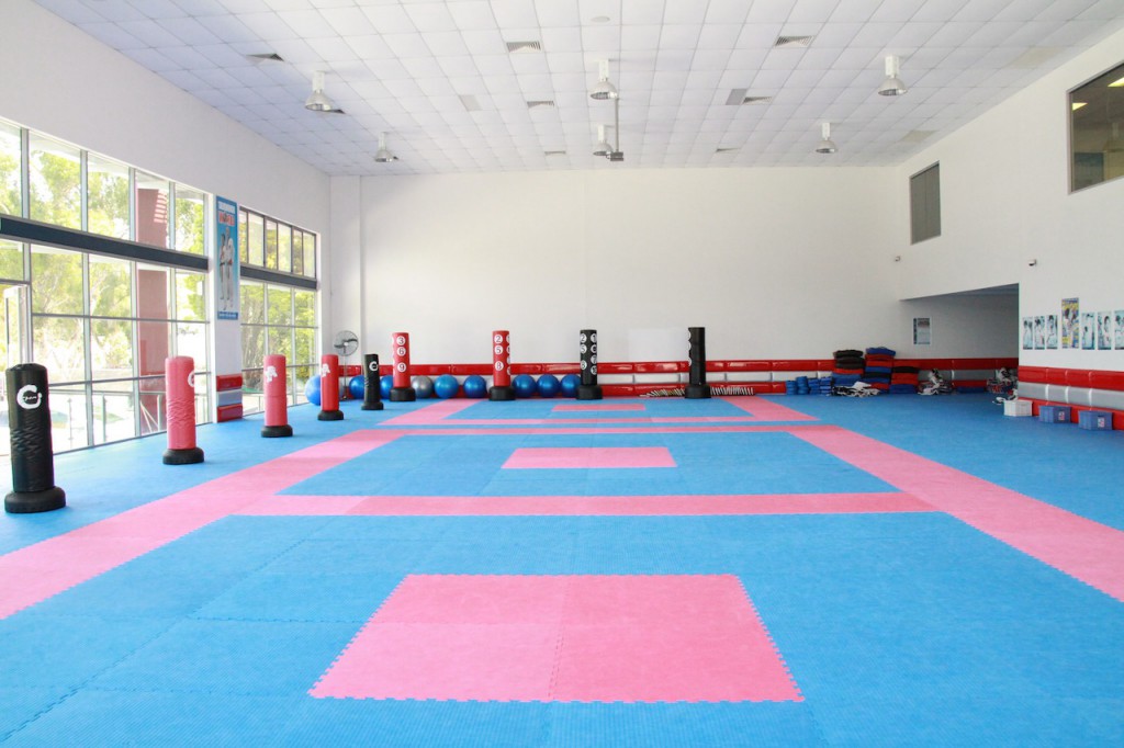 Martial Arts Facilties - Taekwondo World